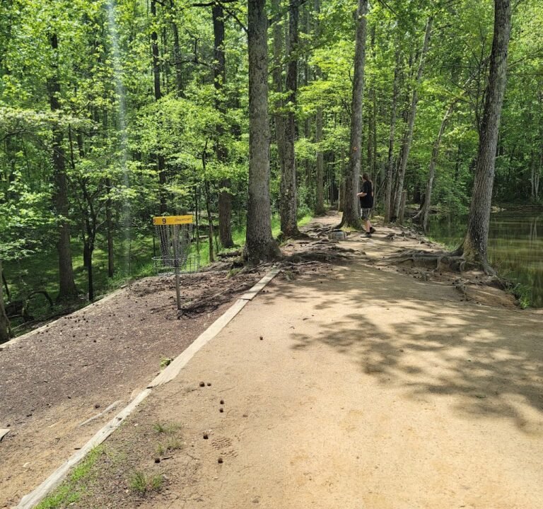 Soccer Field image 2