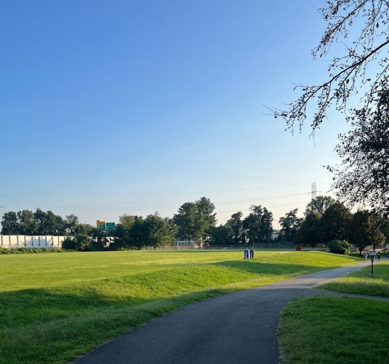 Soccer Field image 2