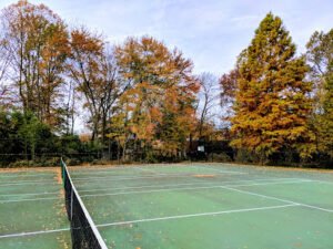 Soccer Field image 1