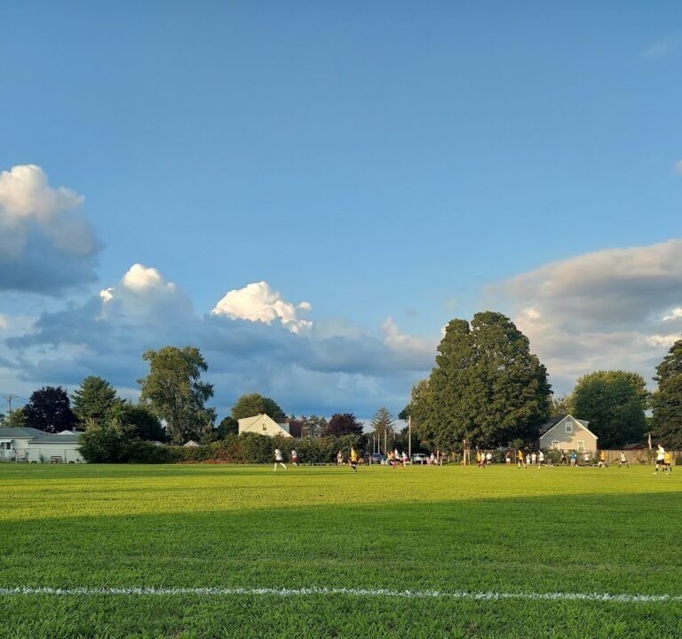Soccer Field image 2