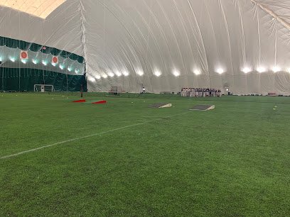 Soccer Field image 1