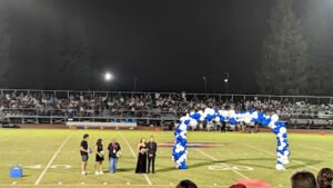 Soccer Field image 1