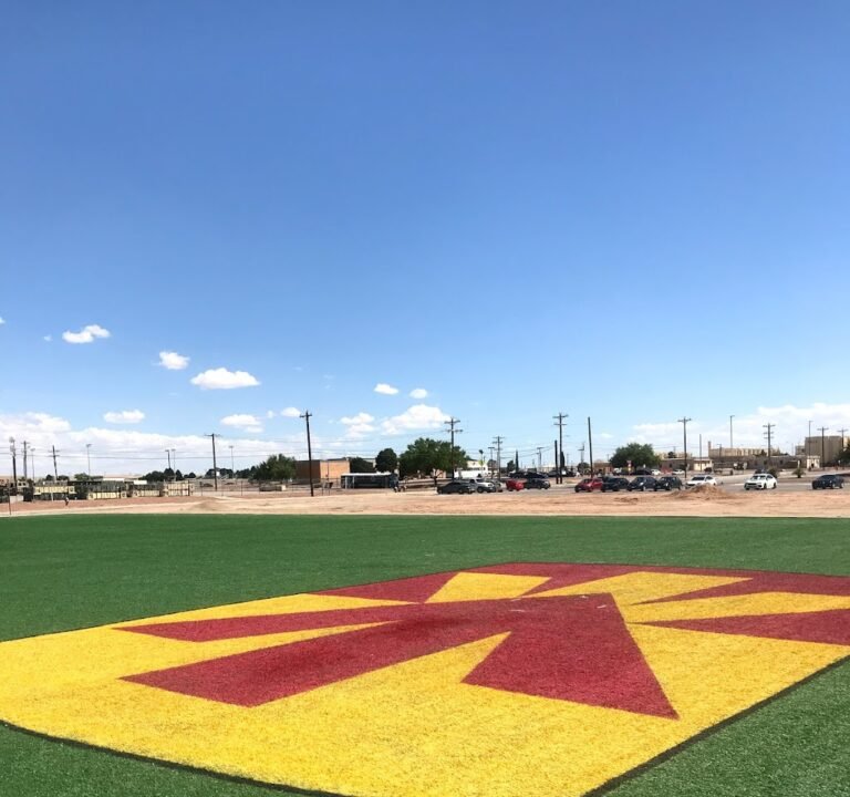 Soccer Field image 2