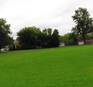 Soccer Field image 2
