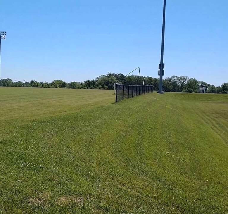Soccer Field image 4