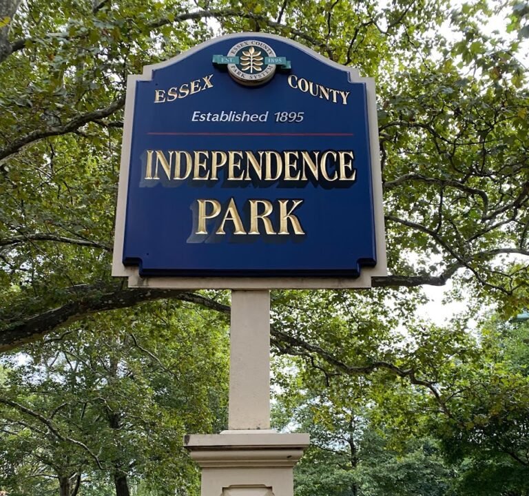 Soccer Field image 2