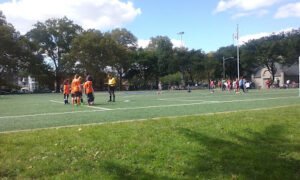 Soccer Field image 1