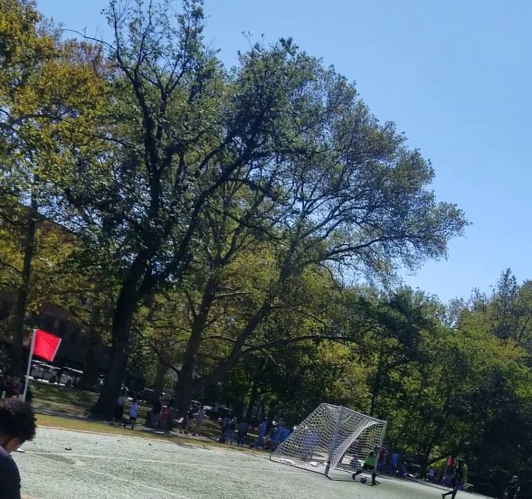 Soccer Field image 4