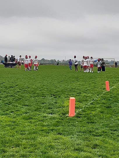 Soccer Field image 1