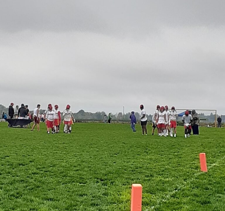 Soccer Field image 2