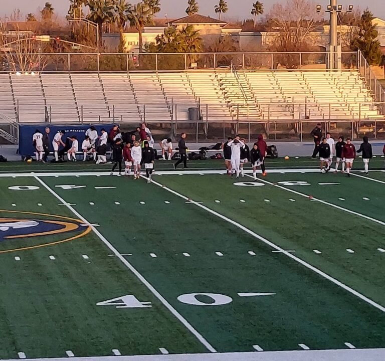 Soccer Field image 2