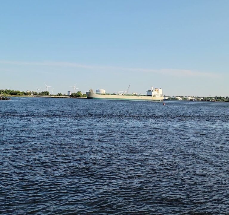 Soccer Field image 4