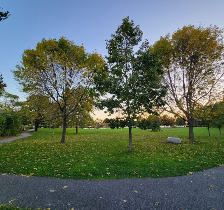 Soccer Field image 2