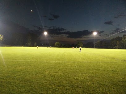 Soccer Field image 1