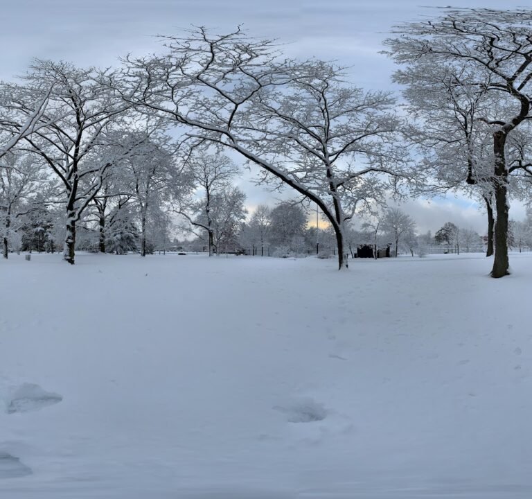 Soccer Field image 3