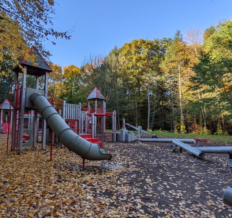 Soccer Field image 2