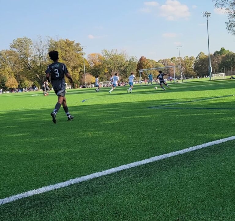 Soccer Field image 2