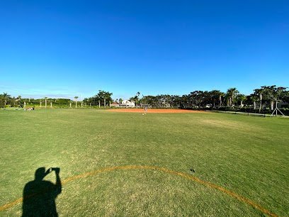 Soccer Field image 1