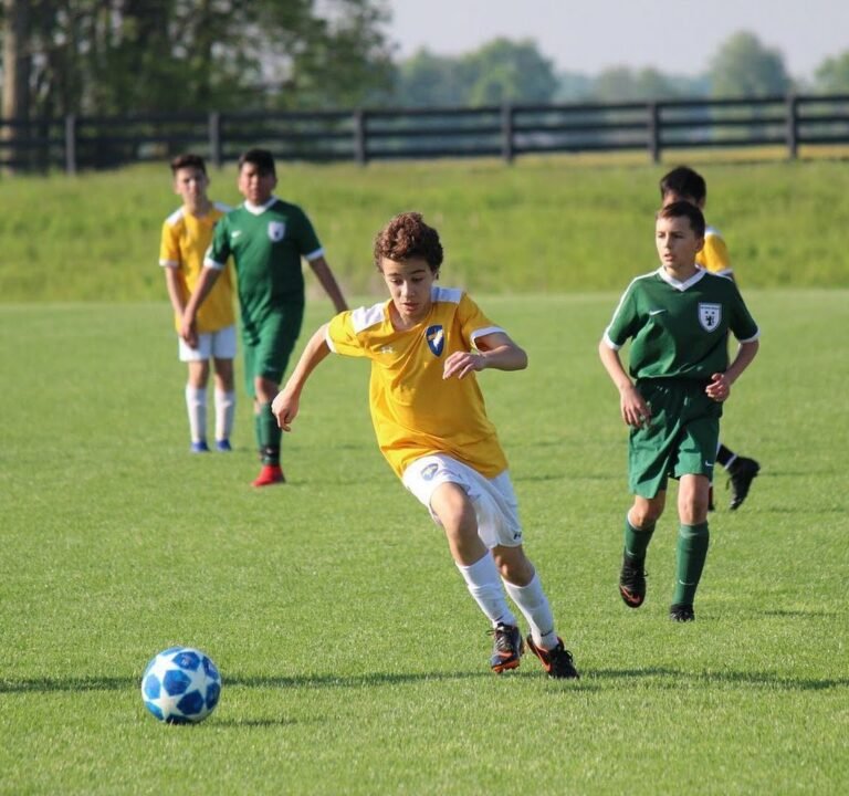 Soccer Field image 3