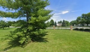 Soccer Field image 1