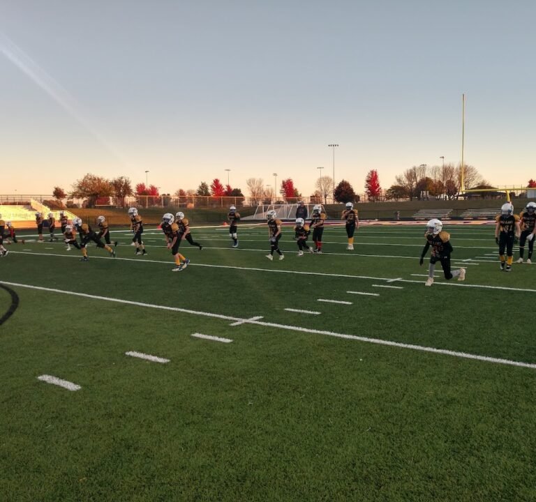 Soccer Field image 2