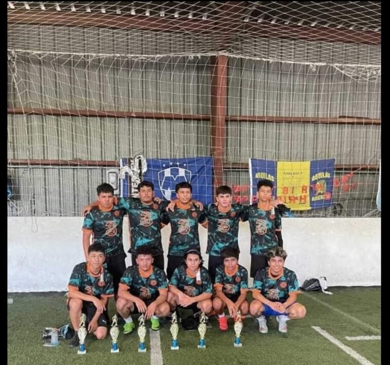 Soccer Field image 2