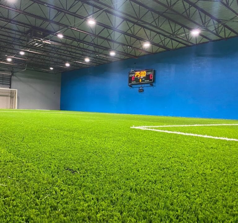 Soccer Field image 2