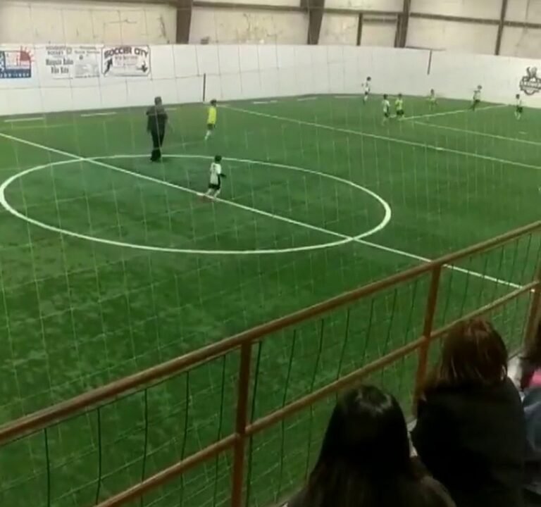 Soccer Field image 3