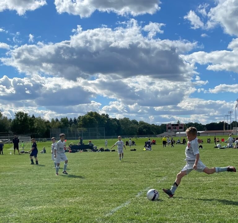 Soccer Field image 3
