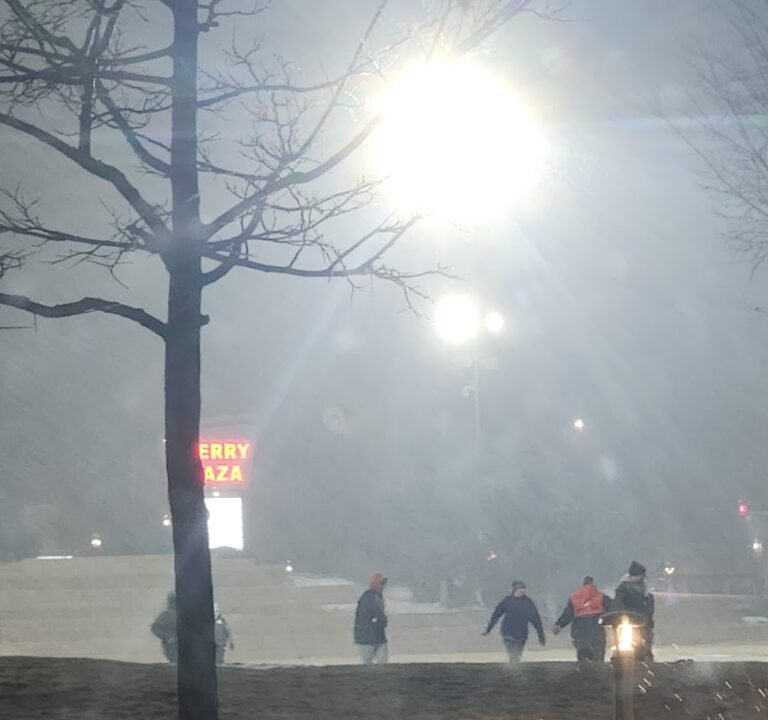 Soccer Field image 3