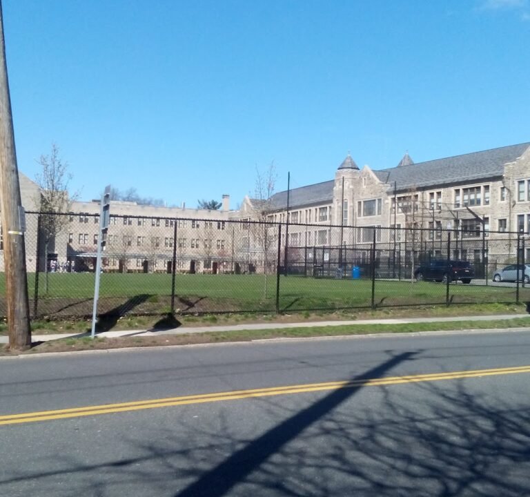 Soccer Field image 2