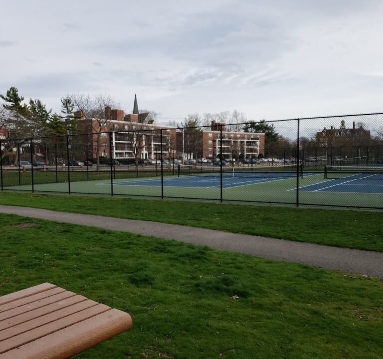 Soccer Field image 2