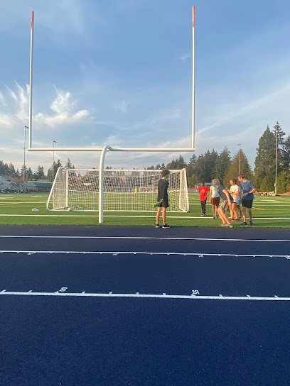 Soccer Field image 1