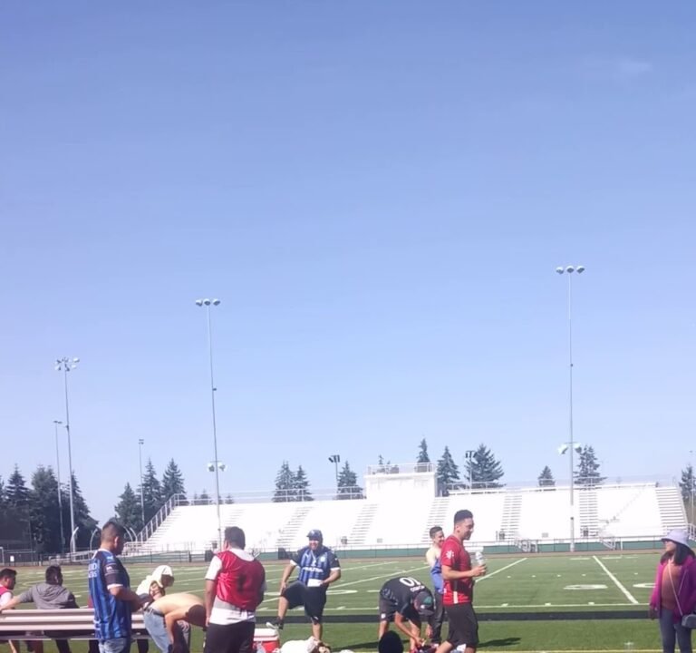 Soccer Field image 3