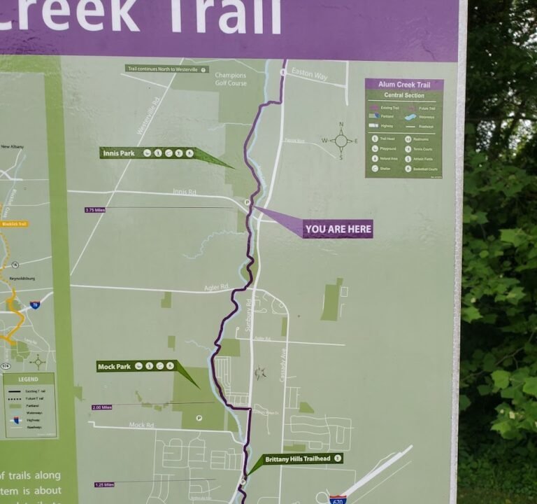 Soccer Field image 3