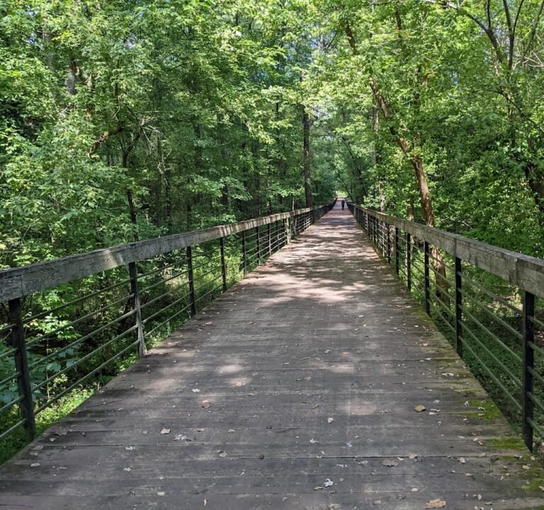 Soccer Field image 2
