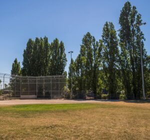Soccer Field image 3