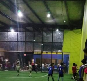 Soccer Field image 3