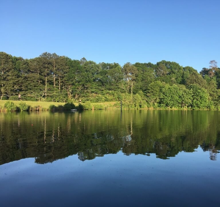 Soccer Field image 2