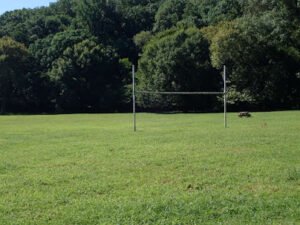 Soccer Field image 1