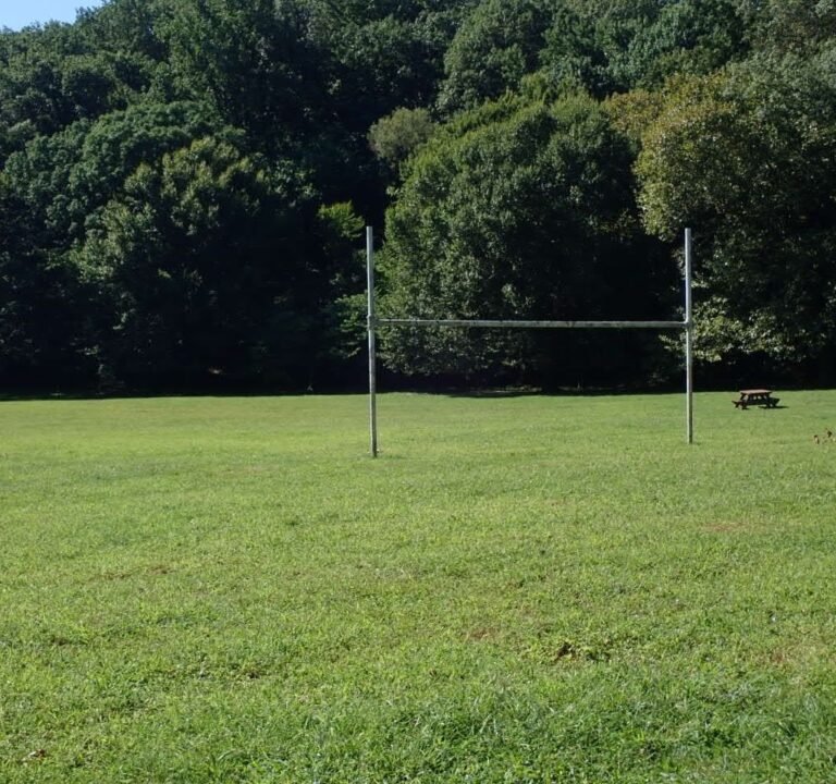Soccer Field image 3
