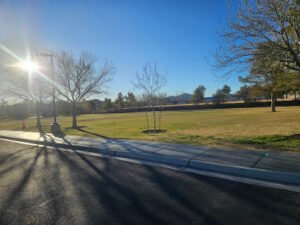 Soccer Field image 1