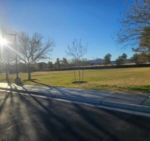 Soccer Field image 2