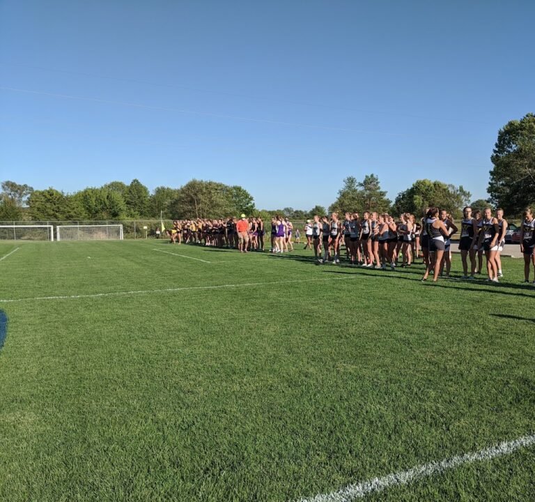 Soccer Field image 2