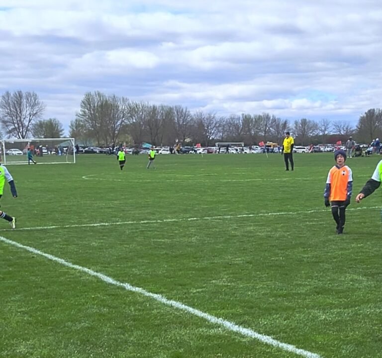 Soccer Field image 4