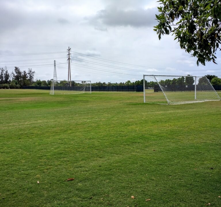 Soccer Field image 2