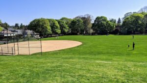 Soccer Field image 1