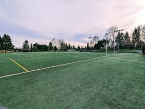 Soccer Field image 1
