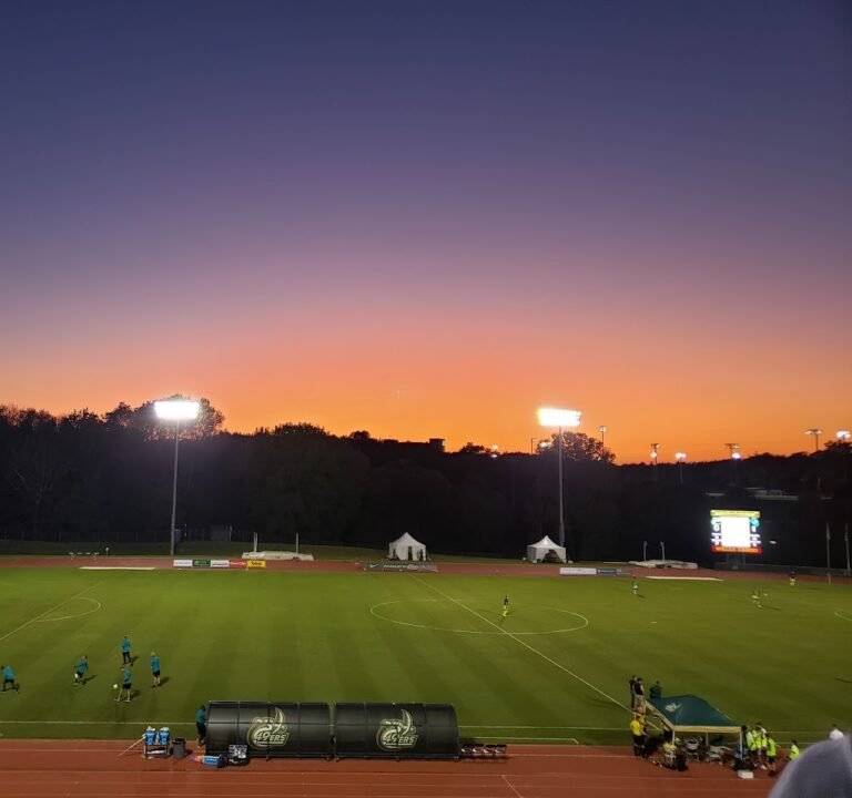 Soccer Field image 2