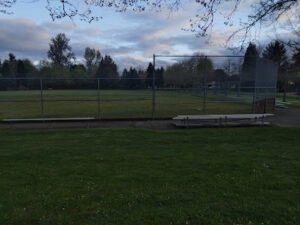 Soccer Field image 1